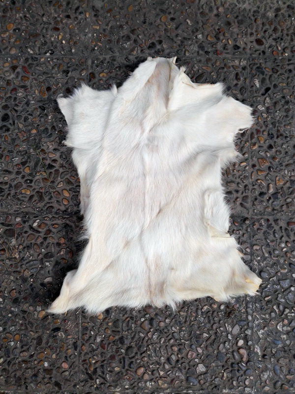 piel animales 57x40 3u 80x46 61x48 80x50 90x74 110x85 113x100